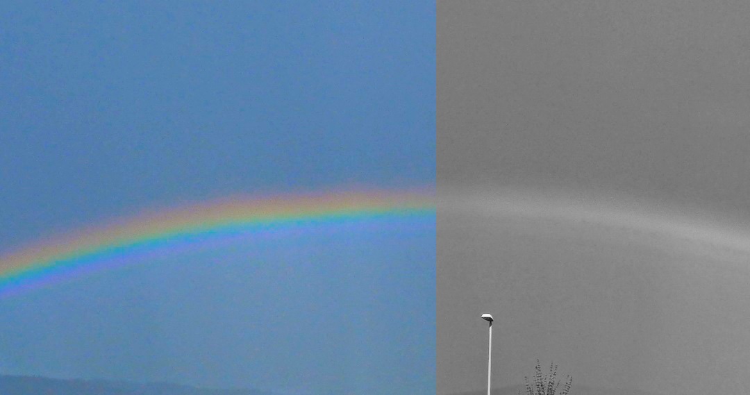 Schwulenverband reicht Strafanzeige gegen Vitus Huonder ein