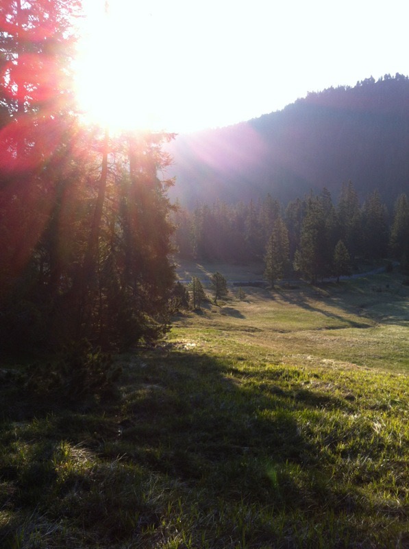 Trauerfeier für früh verlorene Kinder