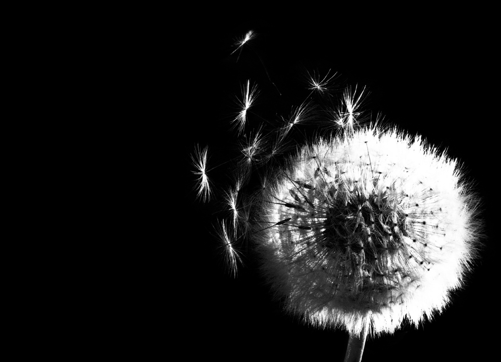 Trauerfeier für früh verlorene Kinder