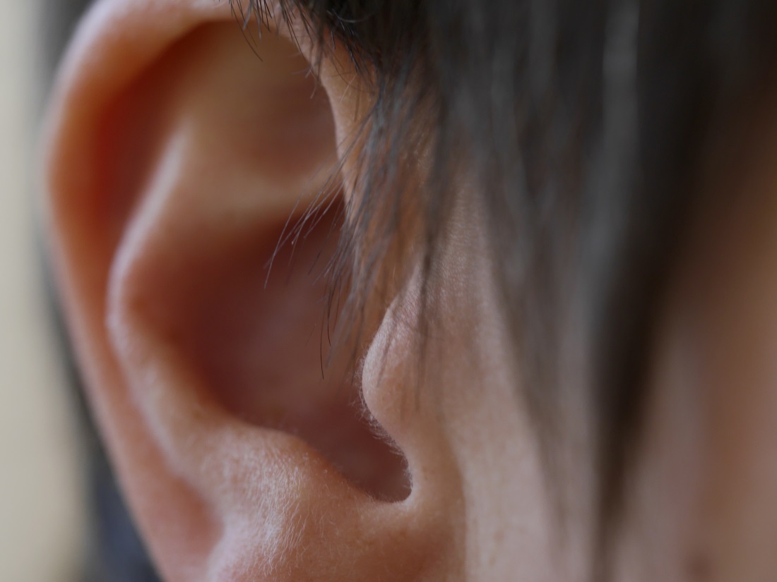 Ein Ohr für die Schöpfung