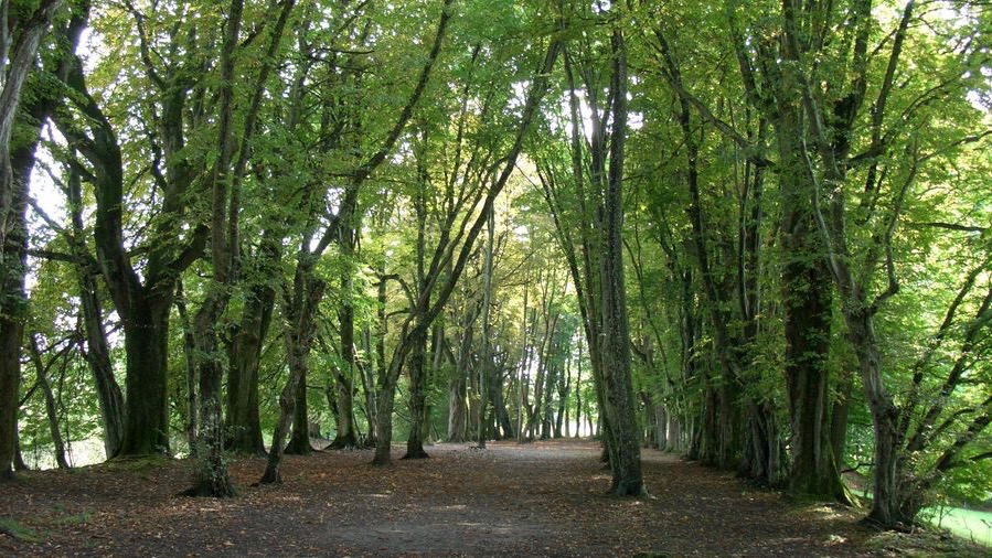 Sakrale Perlen präsentieren