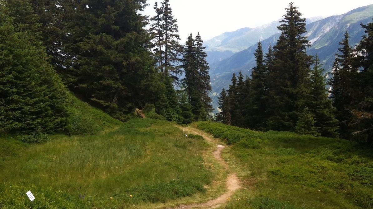 Von Tokio nach Wislikofen