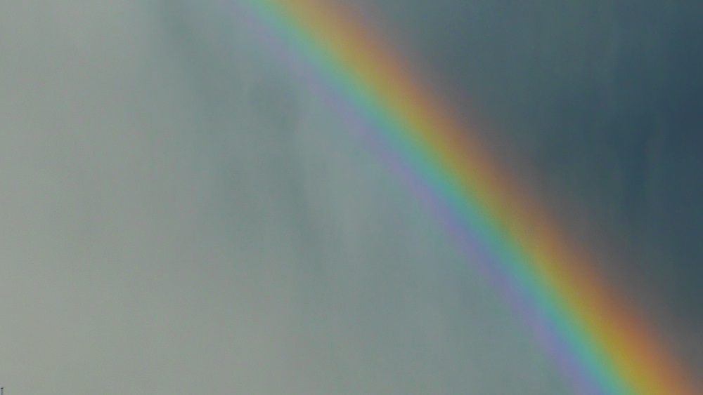 «Keine schlafenden Hunde wecken»