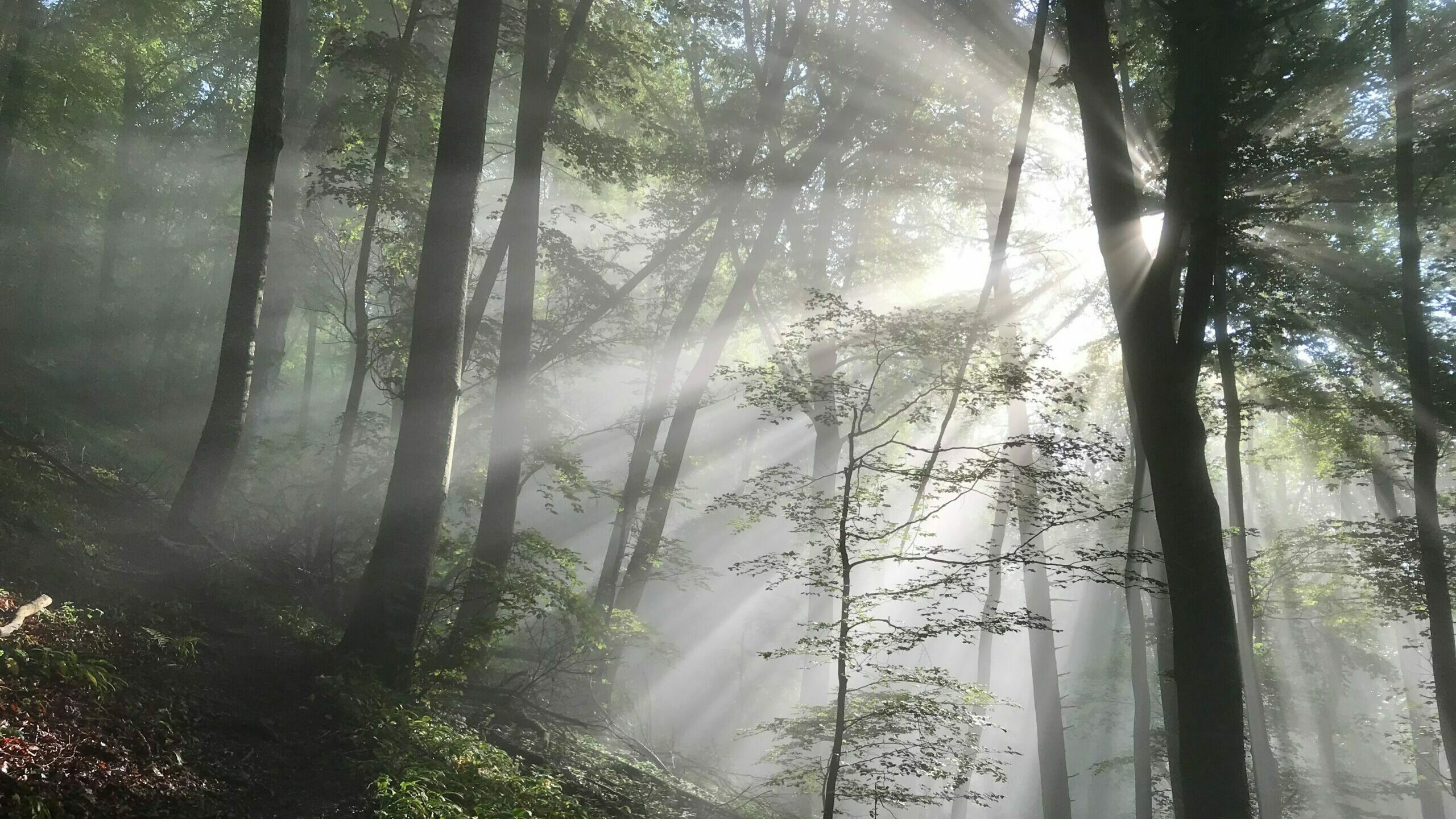 Verlosung: Beim nächsten Mal wird alles anders