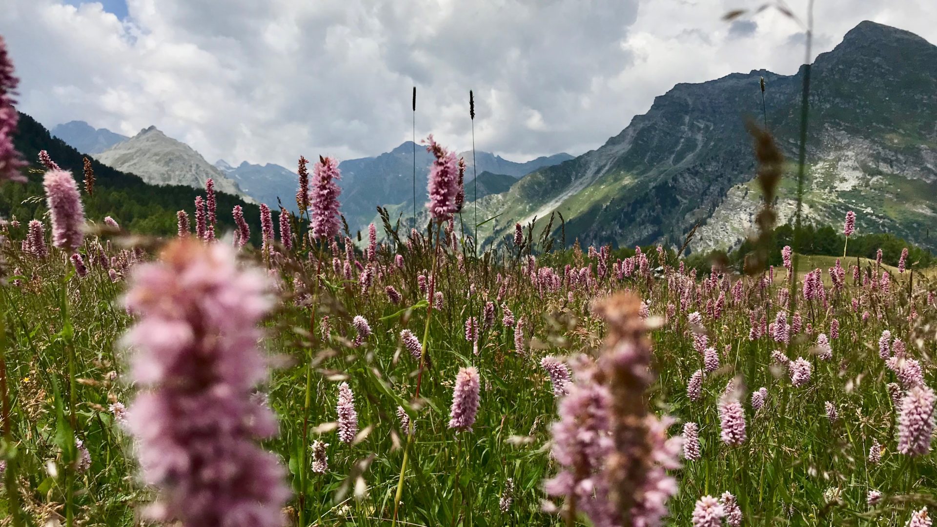 900 Menschen sind «Verbunden in der Stille»