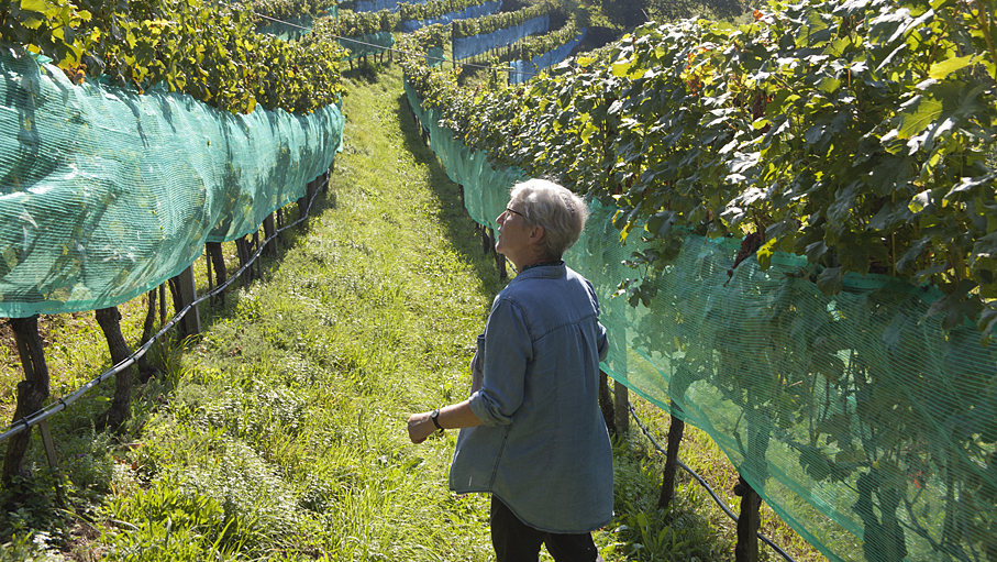 Zwischen Rebberg und Backstube