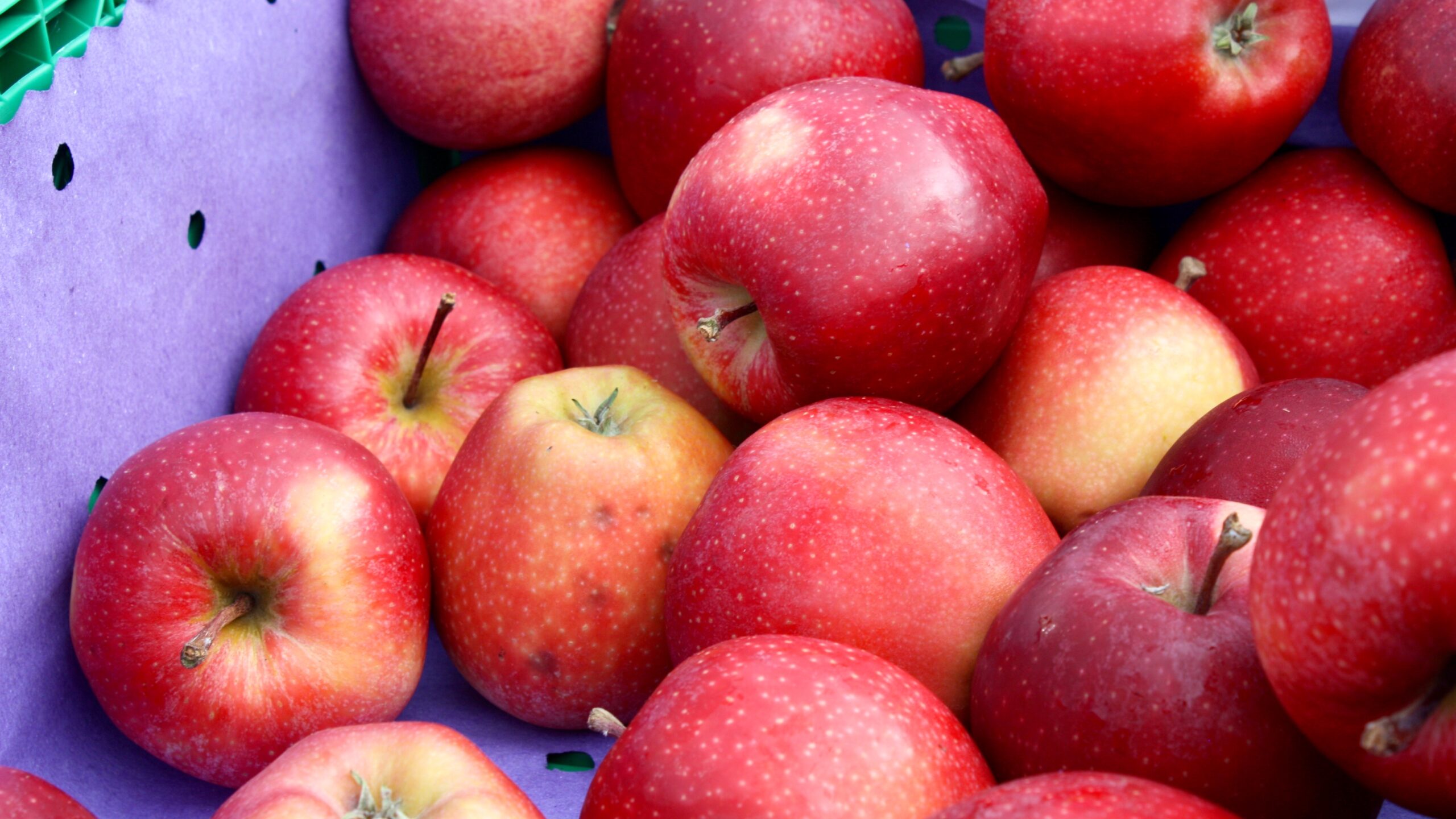 Gebetswoche soll reiche Frucht tragen