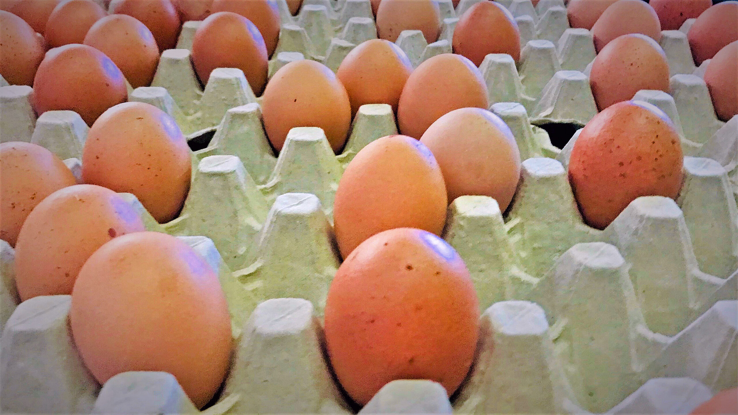 Konsum oder Selbstliebe?