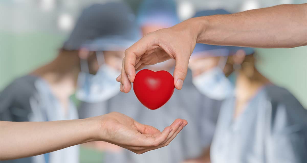 «Eklärungsregelung» für Organspenden