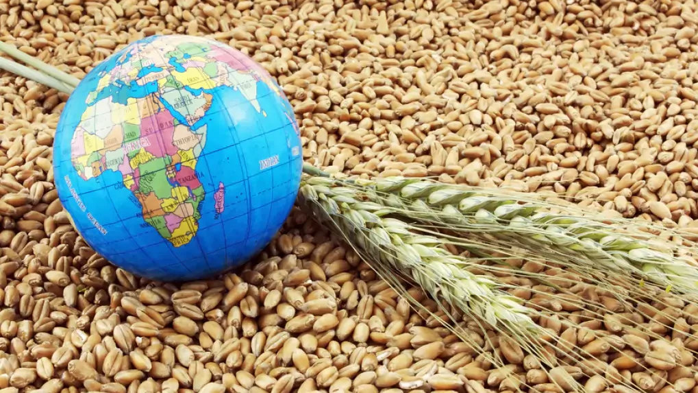 Recht auf Nahrung ist ein Menschenrecht