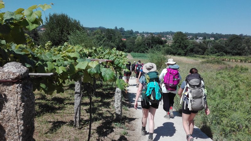 Buen Camino, Juseso Fricktal!