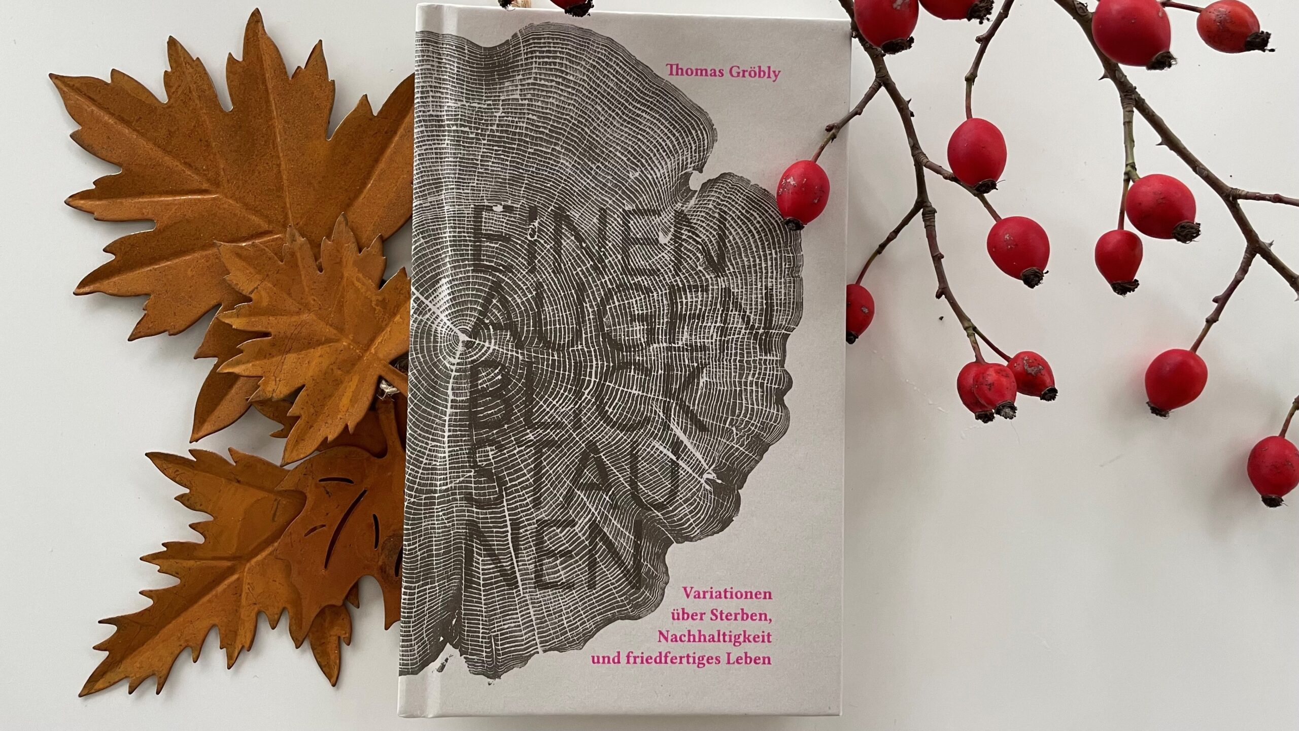 «Einen Augenblick staunen»